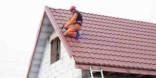 What are the important things one should know about Roof Restoration Northern Beaches services?