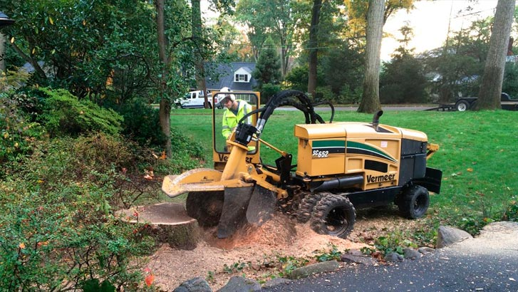 Benefits of Hiring the Professional Service for Stump Grinding Mesquite