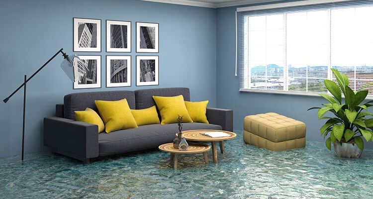 An IICRC-Certified Is a Must For Water Damage Services