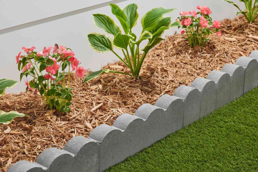 How to Build a Garden Bed Against a Concrete Wall Without Damaging It?